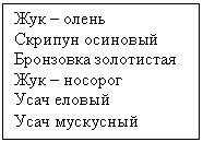 Подпись: