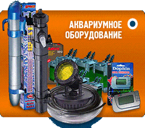 Аквариумное оборудование