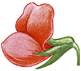 http://*****/dlrstore/8a39278c-f6cd2-4405f444d995/image/143_02.jpg