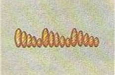 ris_2_a_applikaciya.jpg