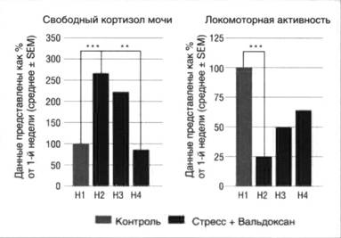http://oo8.mail.yandex.net/static/d3fa94af7d1e417498c1f83423b53045/tmpO1mFE__html_m.jpg
