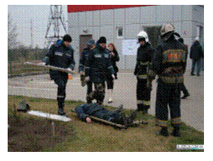 �������: 