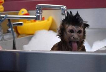 http://*****/wp-content/uploads/2009/08/60e4633aab2e2dccb1350139a7f202ab.jpeg