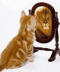 http://*****/images/cat27.gif