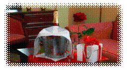 http://www.sangeneva.com.ua/data/img/694e2b3a39a2df04810b6c5ed1ea7e0d.jpeg