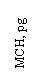 �������: MCH, pg