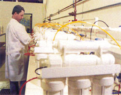 http://production.leader-group.info/info/pic/w41.jpg