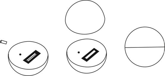 globe instruction.jpg