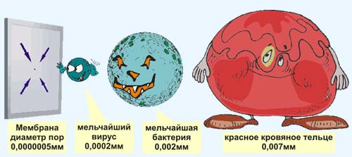 http://production.leader-group.info/info/pic/w52.jpg