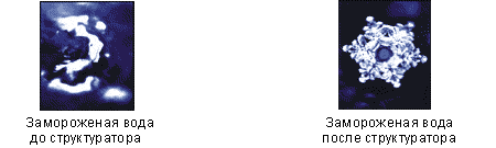 http://production.leader-group.info/info/pic/w57.gif