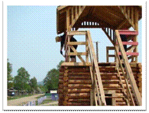 G:\����\��������\����� �����\DSC07628.JPG