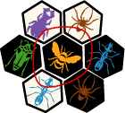 Image:hive1.gif