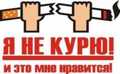 ��������: