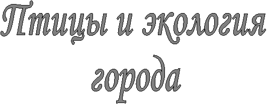 �����