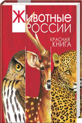 Описание: Картинка 257 из 155322
