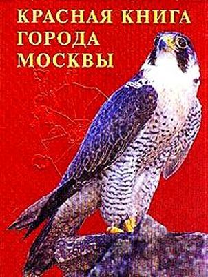 Описание: Картинка 16 из 122902