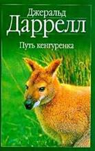 Картинка 99 из 3031