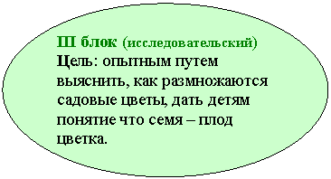 Овал: III блок (исследовательский)
Цель: опытным путем выяснить, как размножаются садовые цветы, дать детям понятие что семя – плод цветка.