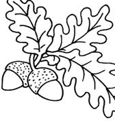 http://fleurettes.free.fr/pages%20enfants3/6.gif