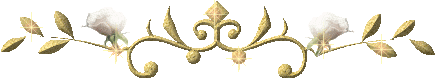 C:\Documents and Settings\�������\������� ����\��������\046[1].gif