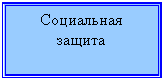 Подпись: Социальная защита