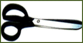 File0374.jpg