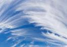 http://t1.gstatic.com/images?q=tbn:ANd9GcRIso218mlP5nREYNPzFOJALLLfEm4Xl7UHW-tmSh9VAtulBtKnNA