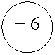 ����: + 6