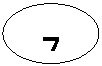 ����: 7