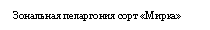 �������: