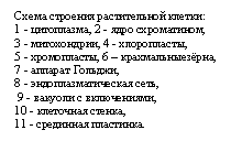 �������: