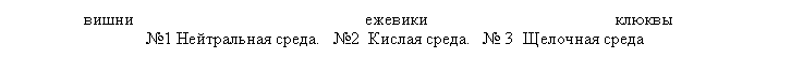 �������:
