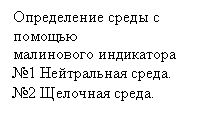 �������: