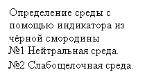 �������: