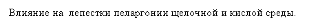 �������: