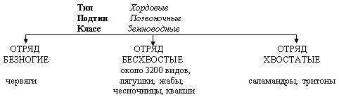 http://*****/articles/522508/img1.gif