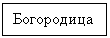 �������:
