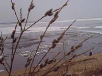 http://*****/images/2008/15/led_tronulsya.jpg