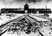 ���������������� ������ �������� �� ������ � ������ 1945 �. ����� ������������ ������ (����: ���)