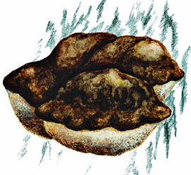 Inocutis