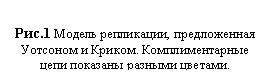 �������: