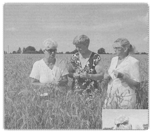 C:\DOCUME~1\F0AA~1\LOCALS~1\Temp\FineReader10\media\image16.jpeg