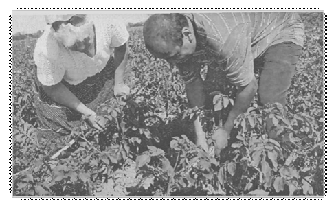 C:\DOCUME~1\F0AA~1\LOCALS~1\Temp\FineReader10\media\image17.jpeg