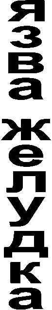 ���� �������
