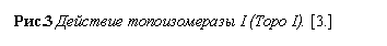 �������: