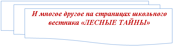 ����-�����: ��������� ����������: � ������ ������ �� ��������� ��������� �������� «������ �����»