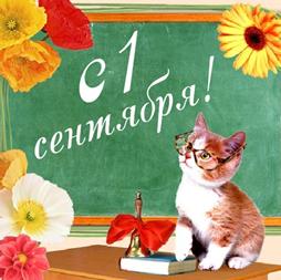 Картинка 12 из 899