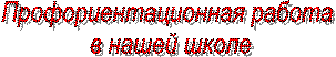 Профориентационная работа
в нашей школе