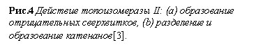 �������: