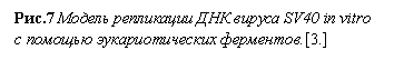 �������: